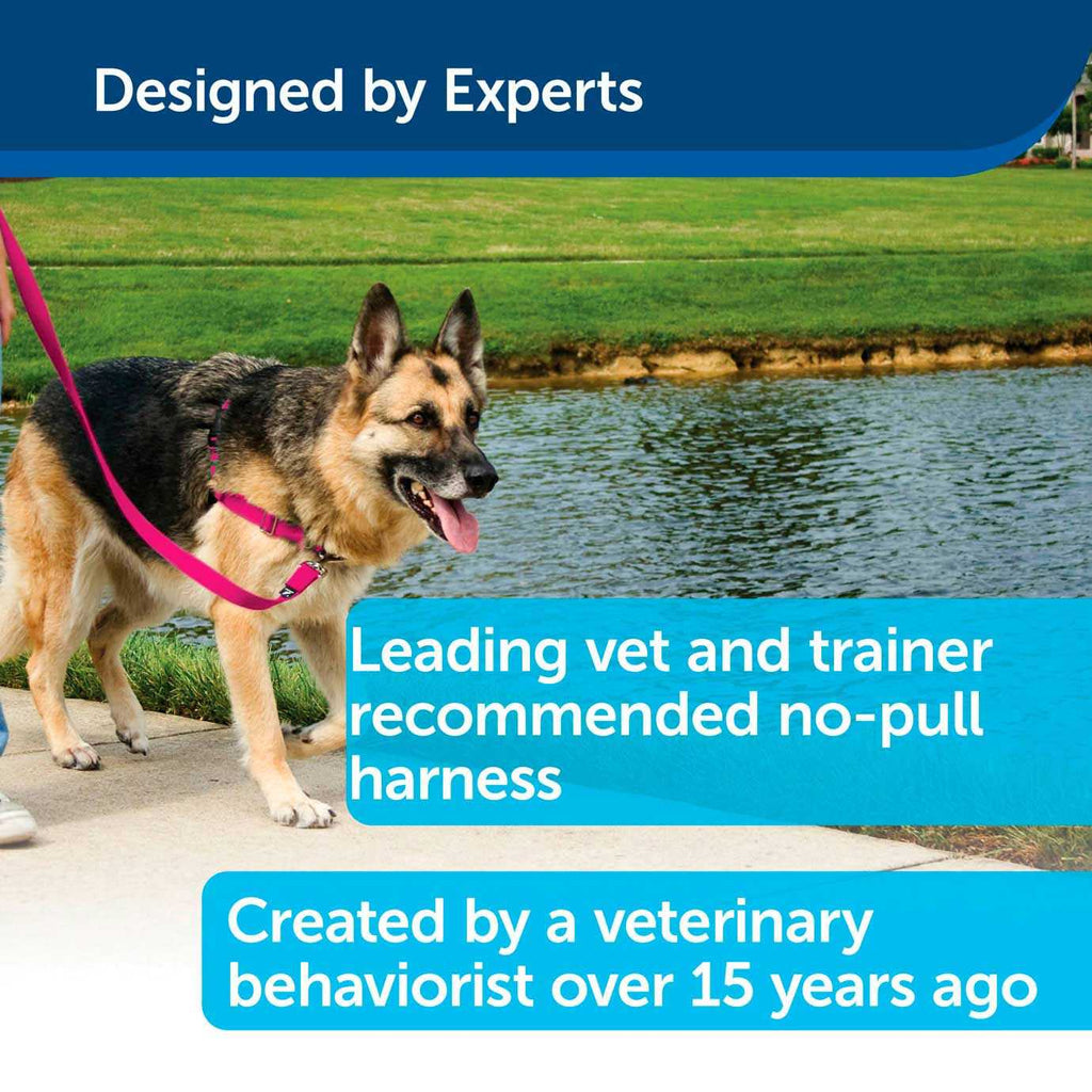 Dog Harness F332234