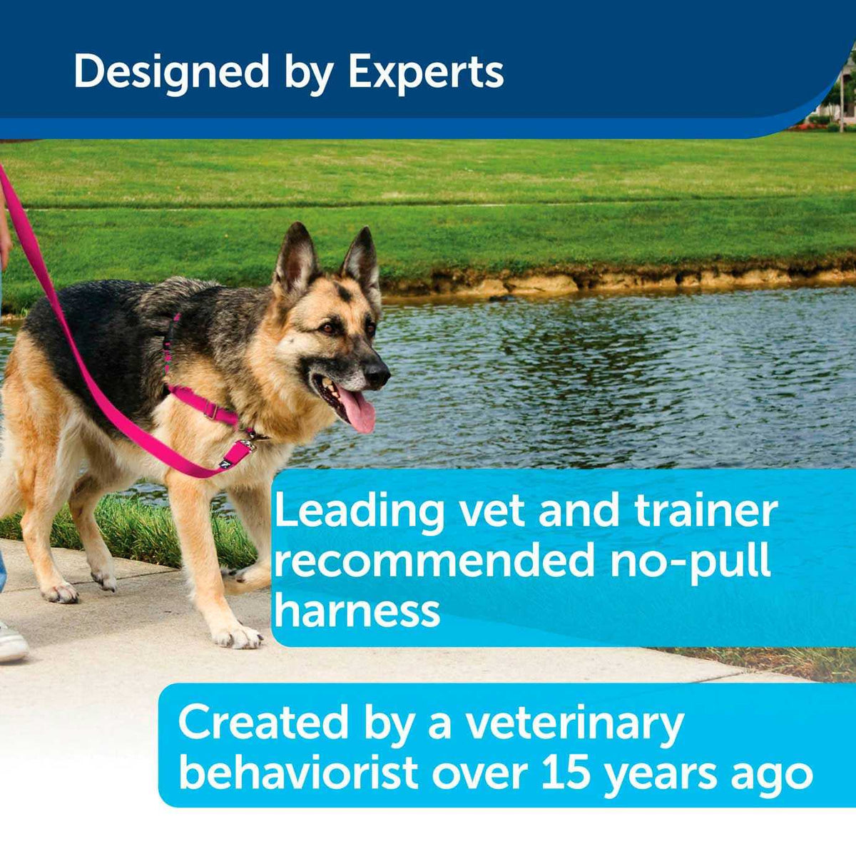 Dog Harness F332234