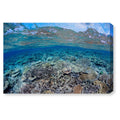 Canvas Art B637972