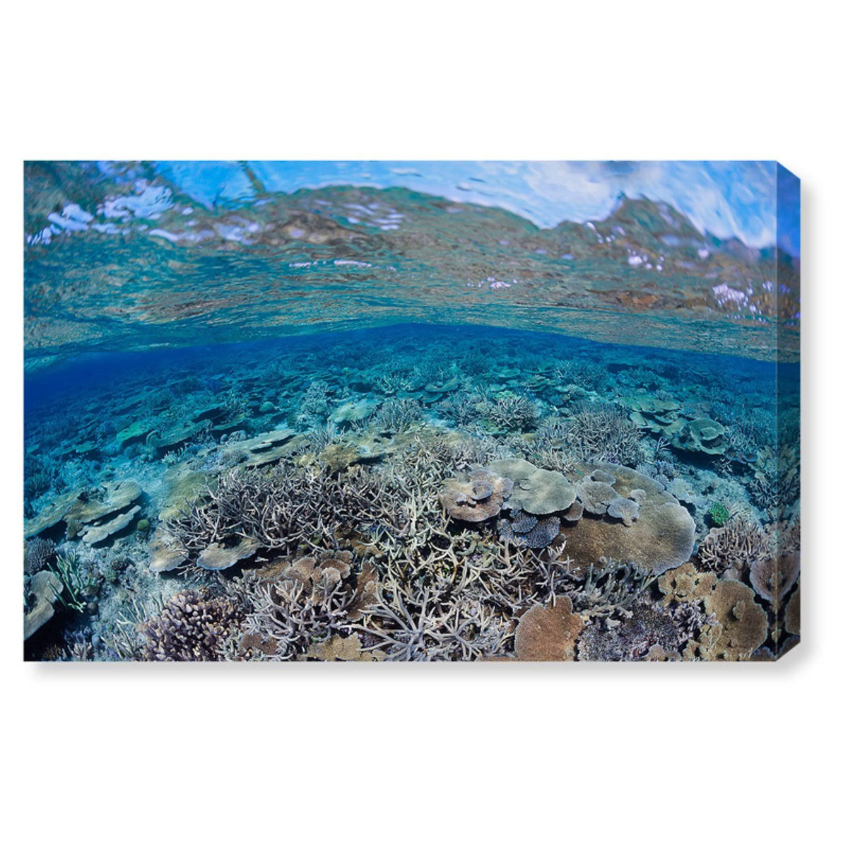 Canvas Art B637972