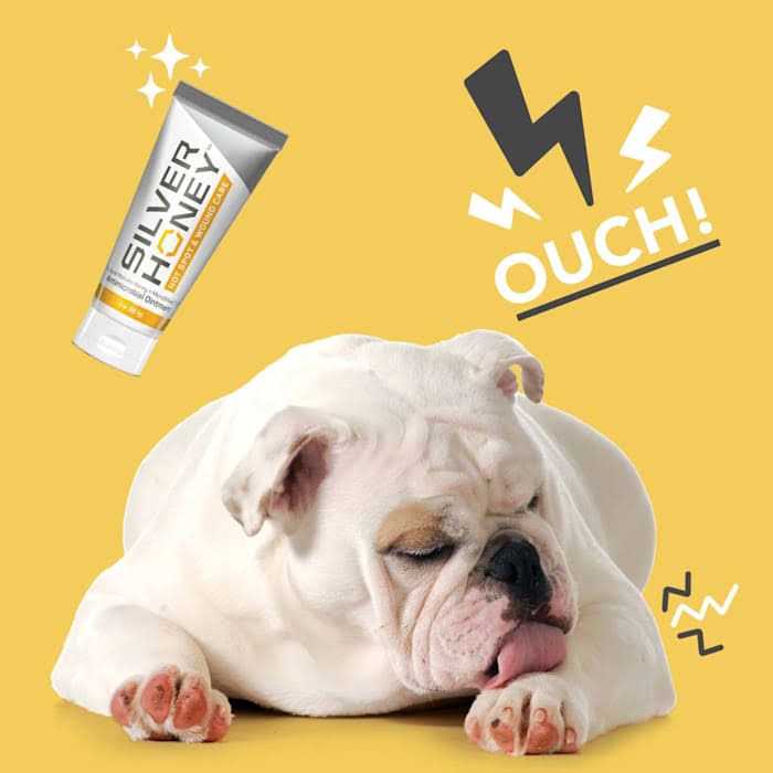 Hot Spot & Wound Care Ointment W6444