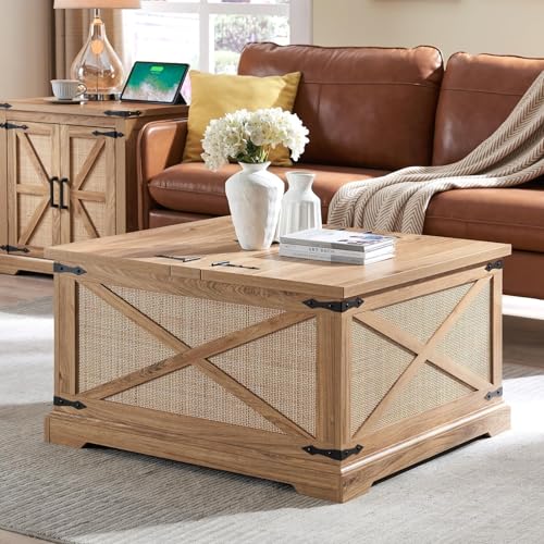 Square Wood Coffee Table with Storage U2081