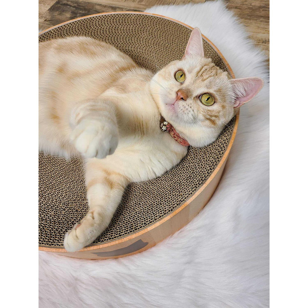 Cozy Cat Scratcher Bowl T7348