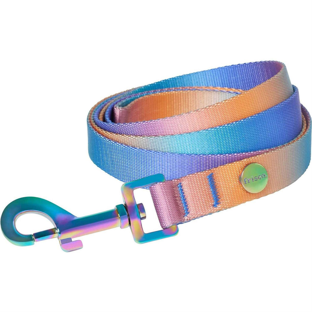 Dog Leash I3584