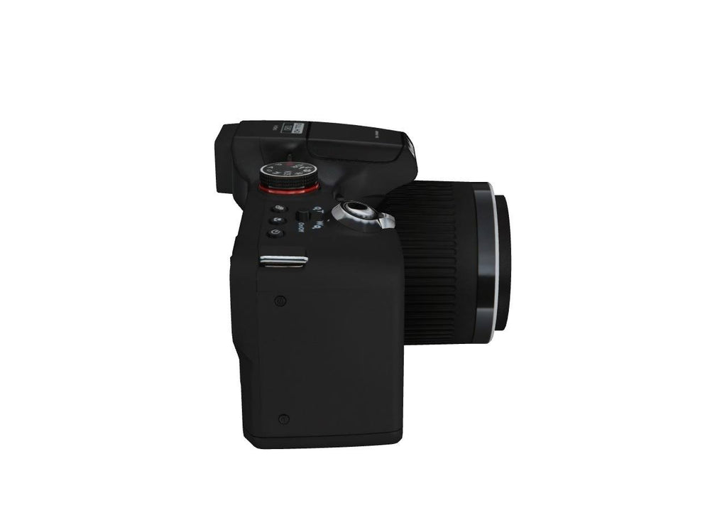 Black 12 Megapixel Bridge Camera D9364