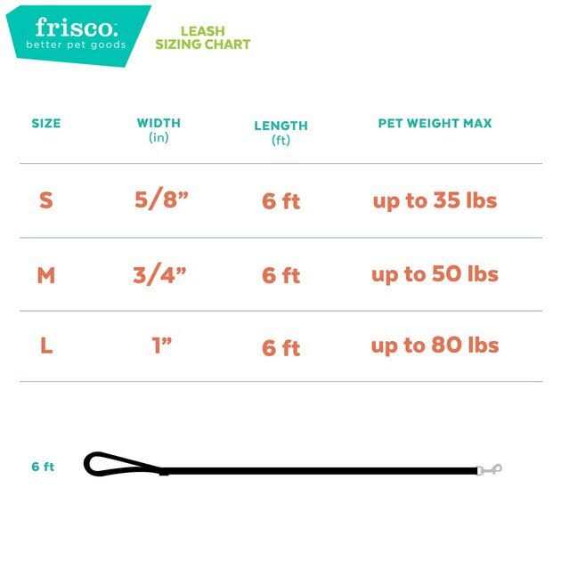 Dog Leash I3584