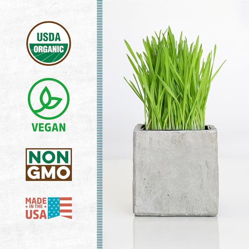 100% Organic 5-Part Salad Seeds 1 Pound Non-GMO W546