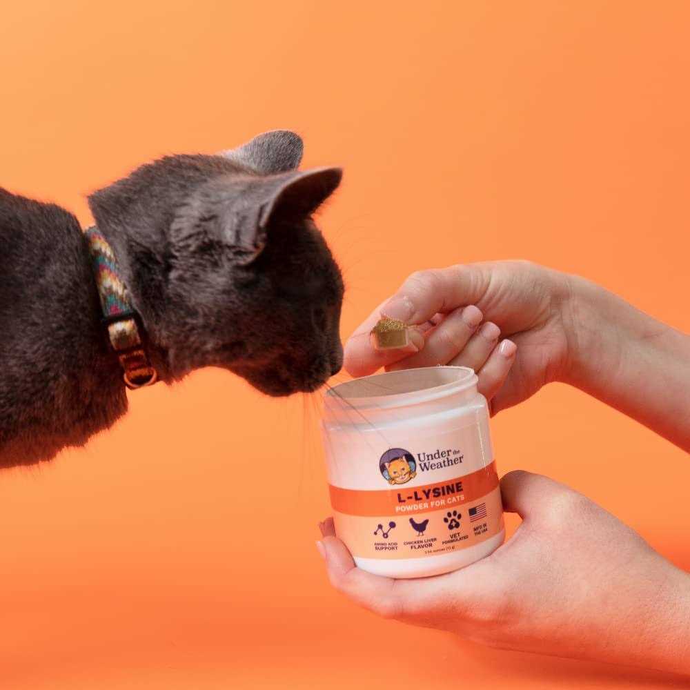 L-lysine Powder Cat Supplement S2658