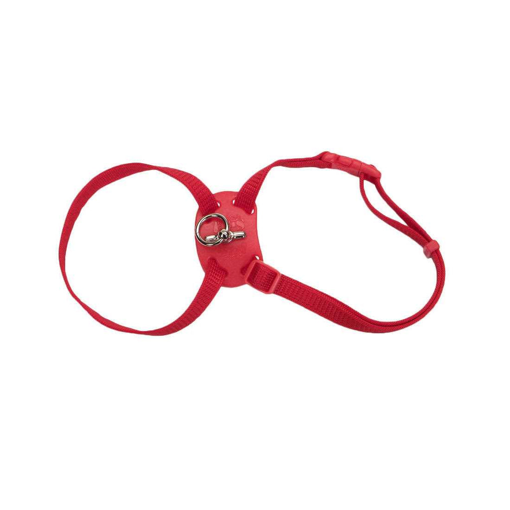 Adjustable Cat Harness E1112