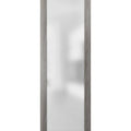 Frosted Glass Slab Barn Door Panel E372913