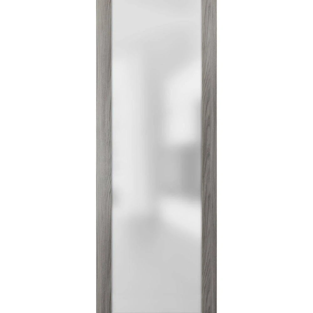 Frosted Glass Slab Barn Door Panel E372913