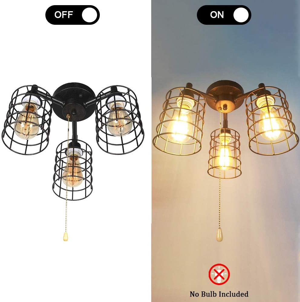 Black Metal Pull Chain Ceiling Light Fixture Z764066