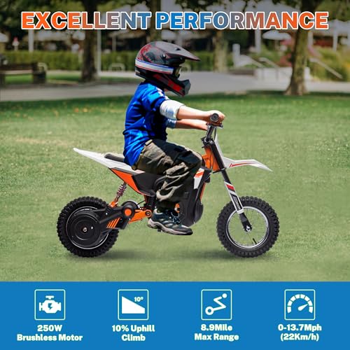 24V 250W Kids Electric Dirt Bike with Air-Filled Tires X441
