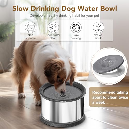 6.5L Stainless Steel No Spill Dog Water Bowl with Anti-Slip Mat L1485