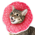 Soft e Collar for Small Dogs & Cats O324