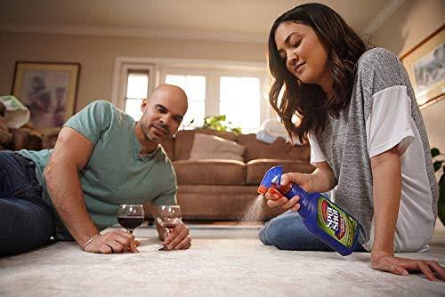 Instant Carpet Stain & Odor Eliminator 22 oz (Pack of 6) C976164