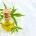 Organic Hemp Seed Oil 32oz P26113