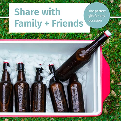 Swing Top Glass Bottles Set of 6, 16oz Clear with Caps T594