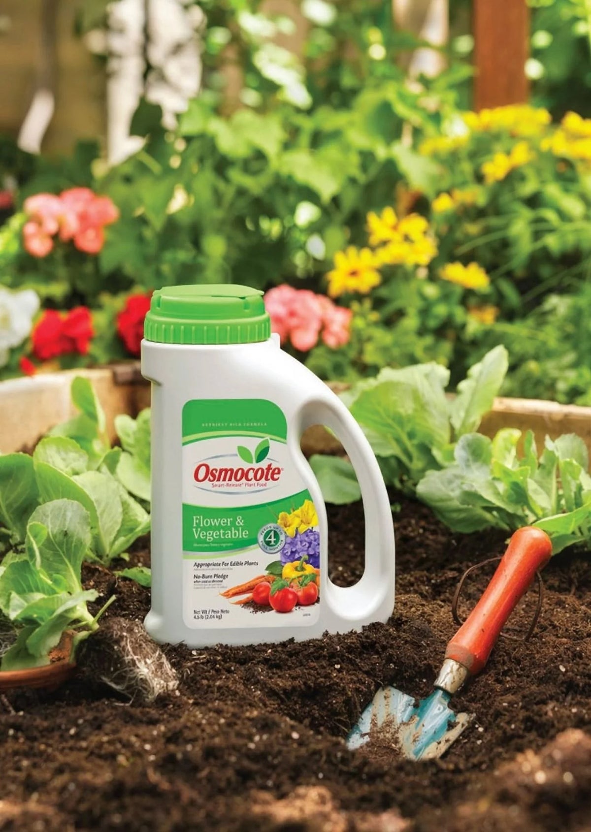 4.5 lb. Plant Food E55836