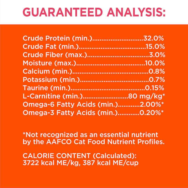 Salmon Adult Dry Cat Food U940