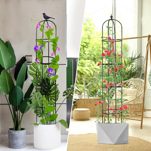 2 Pack 6ft Garden Obelisk Trellis for Climbing Plants Z1374