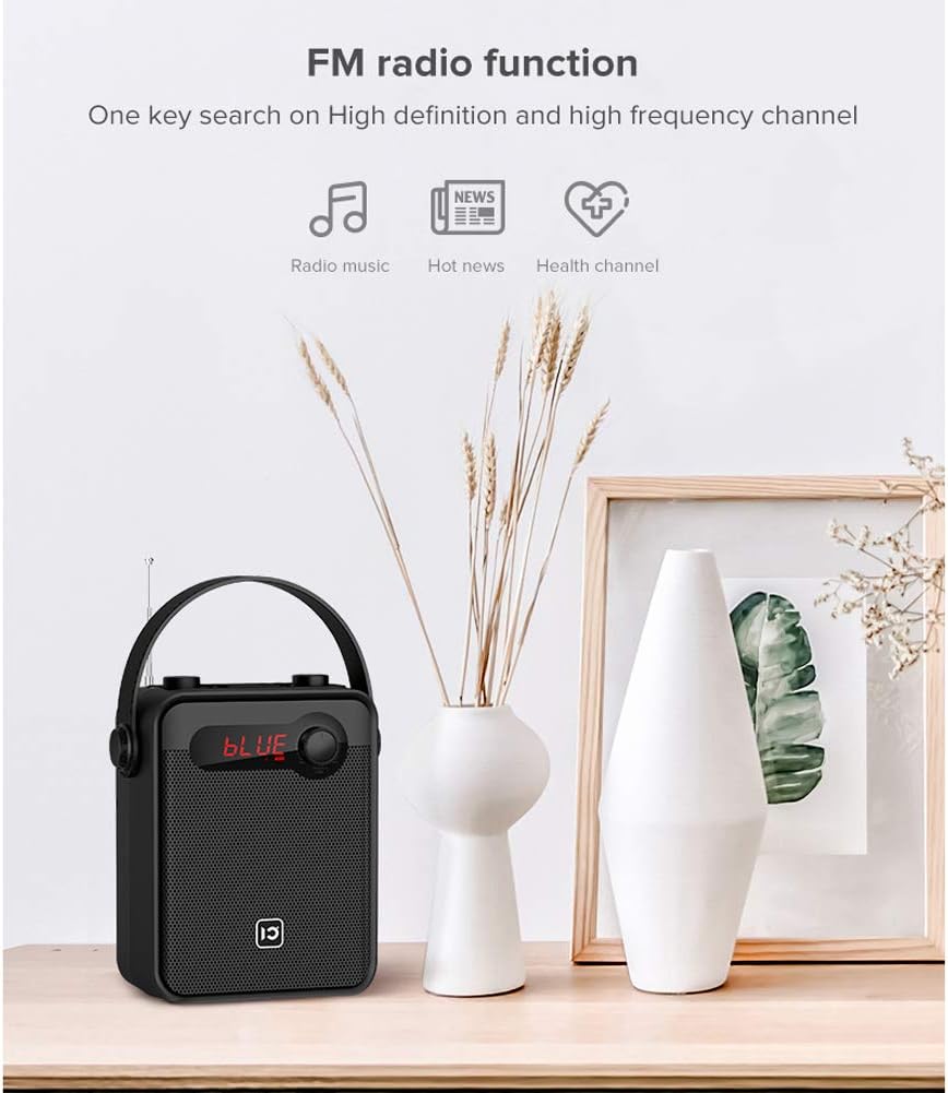 Portable PA Speaker, Wireless Karaoke Machine, Bluetooth Microphone Speaker with FM Radio, Remote Control, TF Card/USB B288807