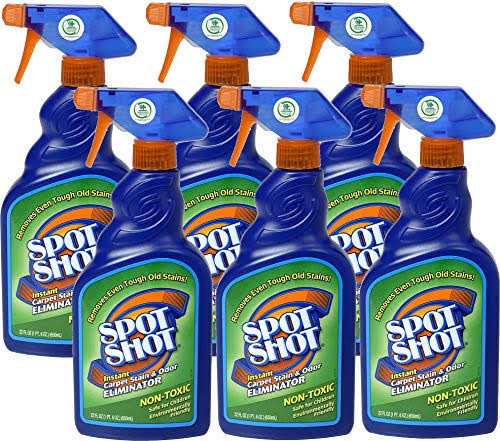 Instant Carpet Stain & Odor Eliminator 22 oz (Pack of 6) C976164
