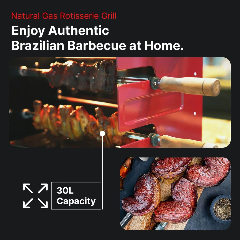 Rotisserie Gas Grill with 2-Skewers W1806