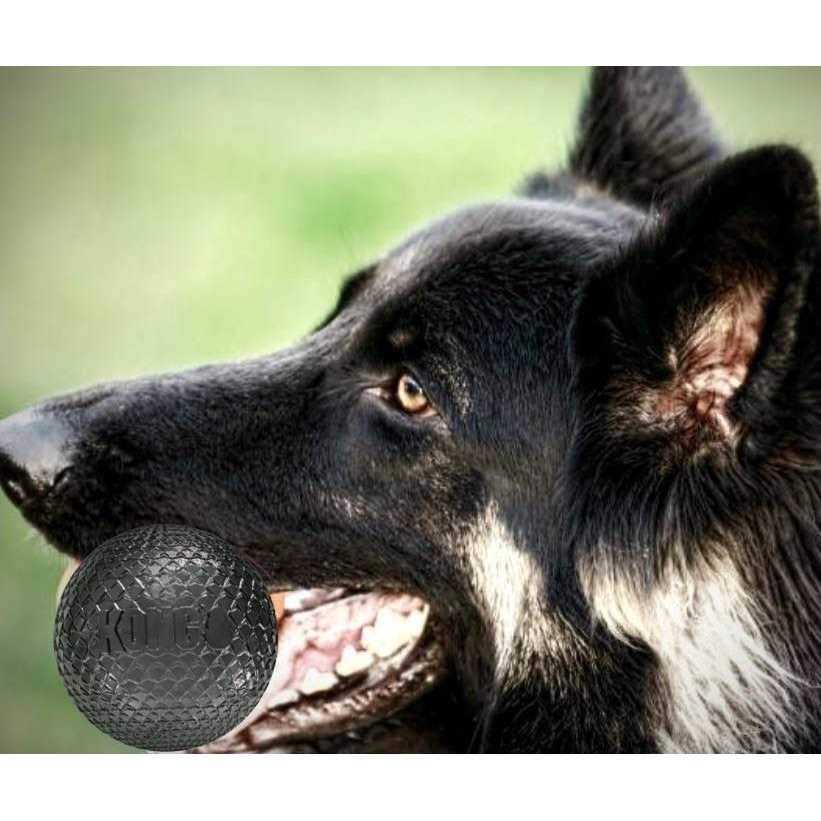 Kong Duramax Ball Dog Toy A5320