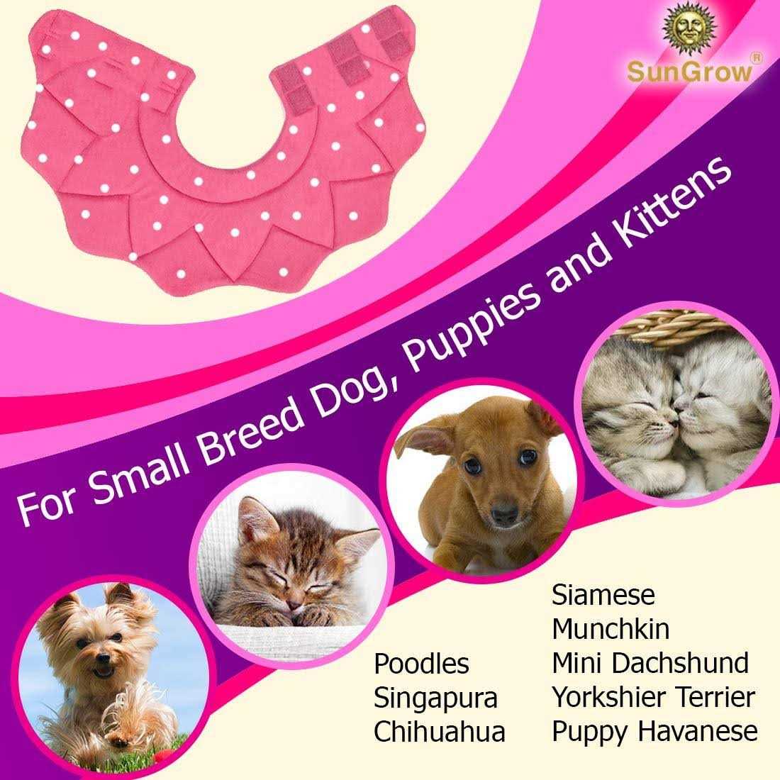 Soft e Collar for Small Dogs & Cats O324