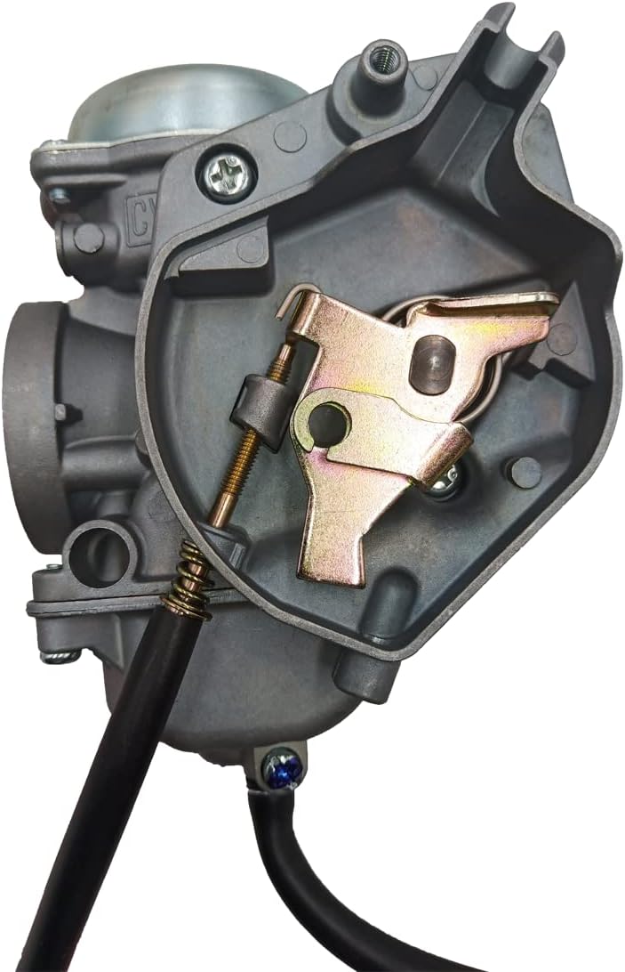 Carburetor with Petcock Fuel Tank Switch Valve J9976