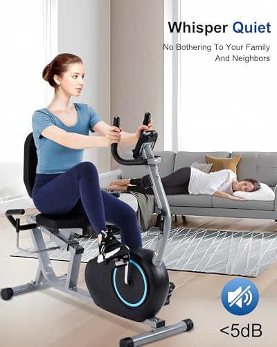 Recumbent Exercise Bike with 400LB Weight Capacity, Pulse Sensor, 16-level Resistance, LCD Monitor V6533