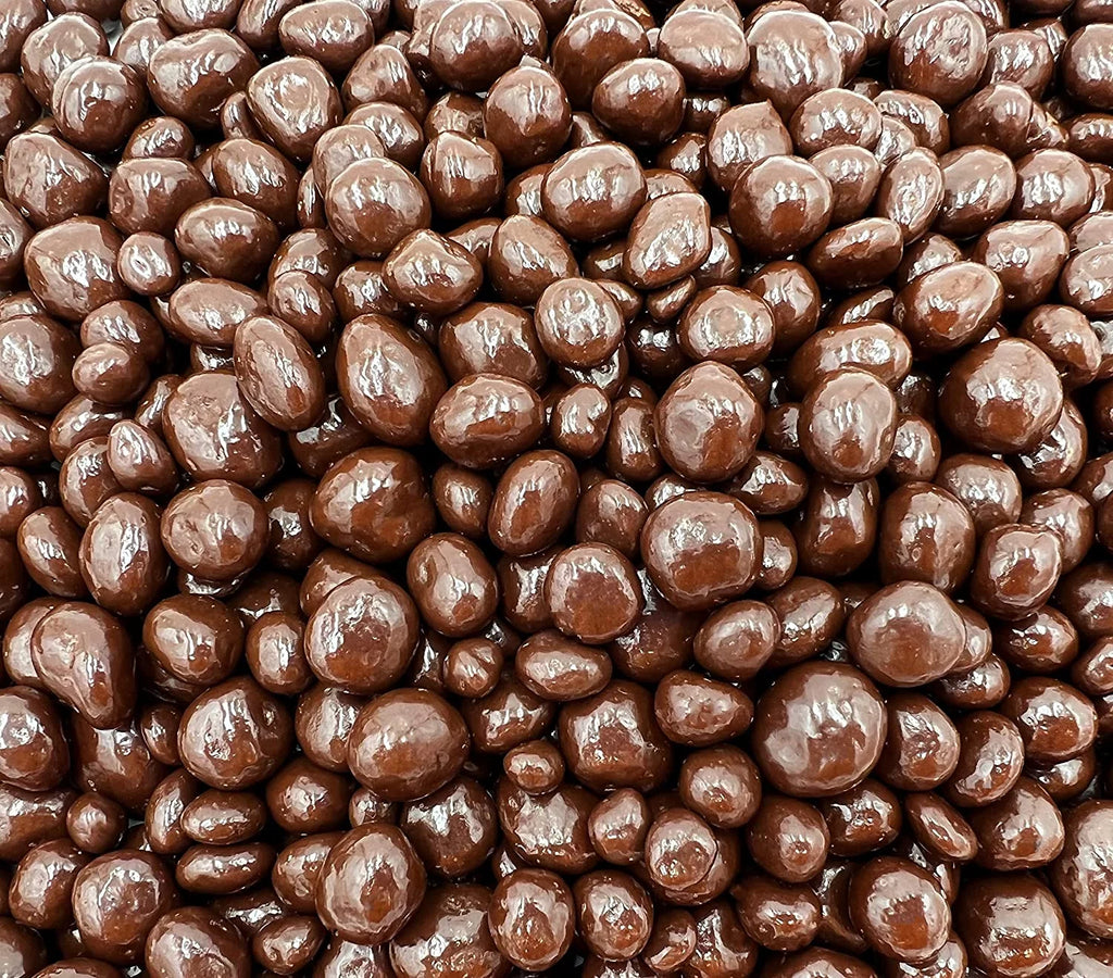 Dark Chocolate Covered Raisins Candy (1 Pound Bag) Z469