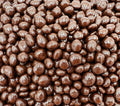 Dark Chocolate Covered Raisins Candy (1 Pound Bag) Z469