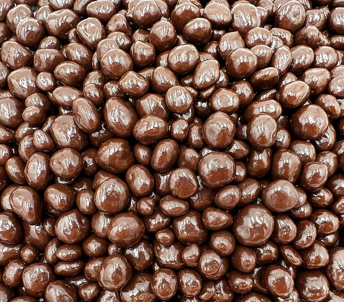 Dark Chocolate Covered Raisins Candy (1 Pound Bag) Z469