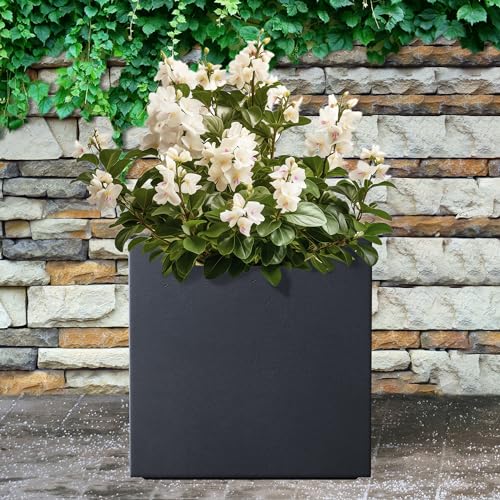 10 Inch Square Concrete Planter with Drainage Hole F768
