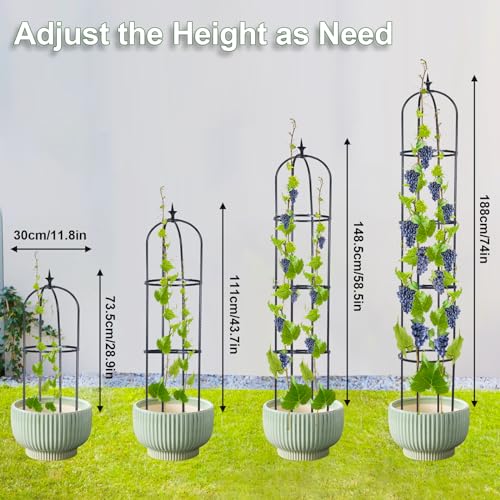 2 Pack 6ft Garden Obelisk Trellis for Climbing Plants Z1374
