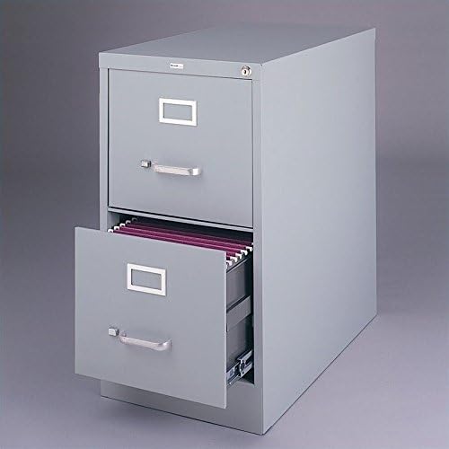 2 Drawer Letter File Cabinet in Gray D12499