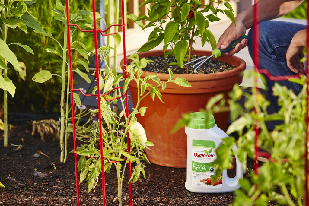 4.5 lb. Plant Food E55836