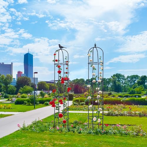 2 Pack 6ft Garden Obelisk Trellis for Climbing Plants Z1374