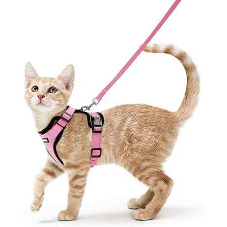 Cat Harness and Leash F196