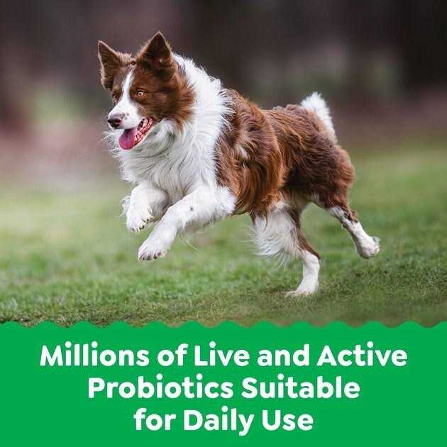 Probiotics Digestive Health Supplements for Dogs Chicken Flavor F124599