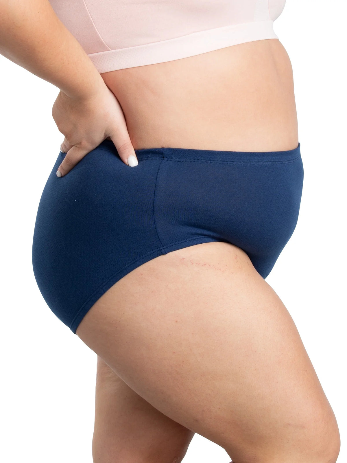 Plus Size Cotton Brief Underwear 10 Pack D415845