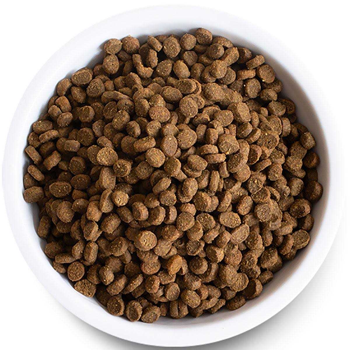 Wild-Caught Salmon Grain-Free Dry Cat Food Z925343