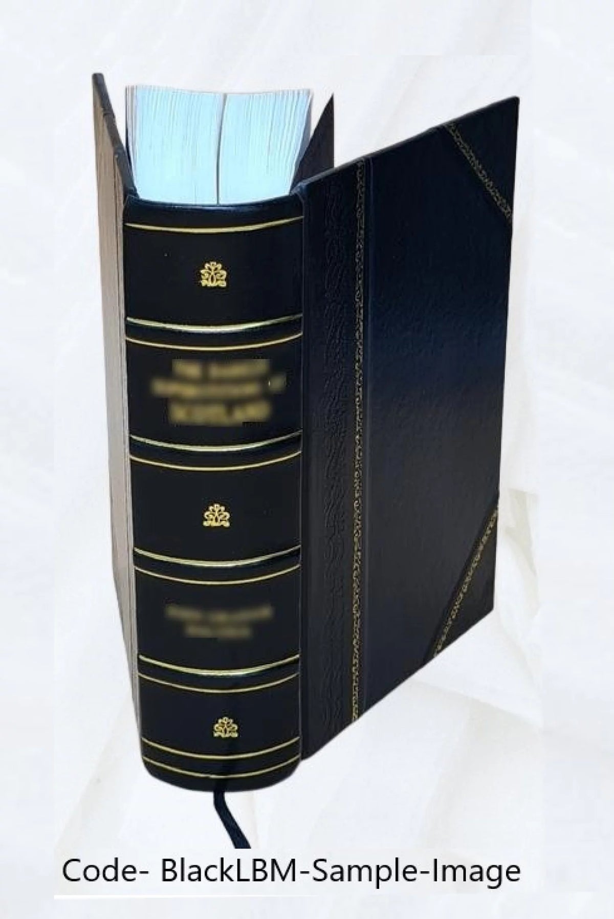 Leather Bound Book J754