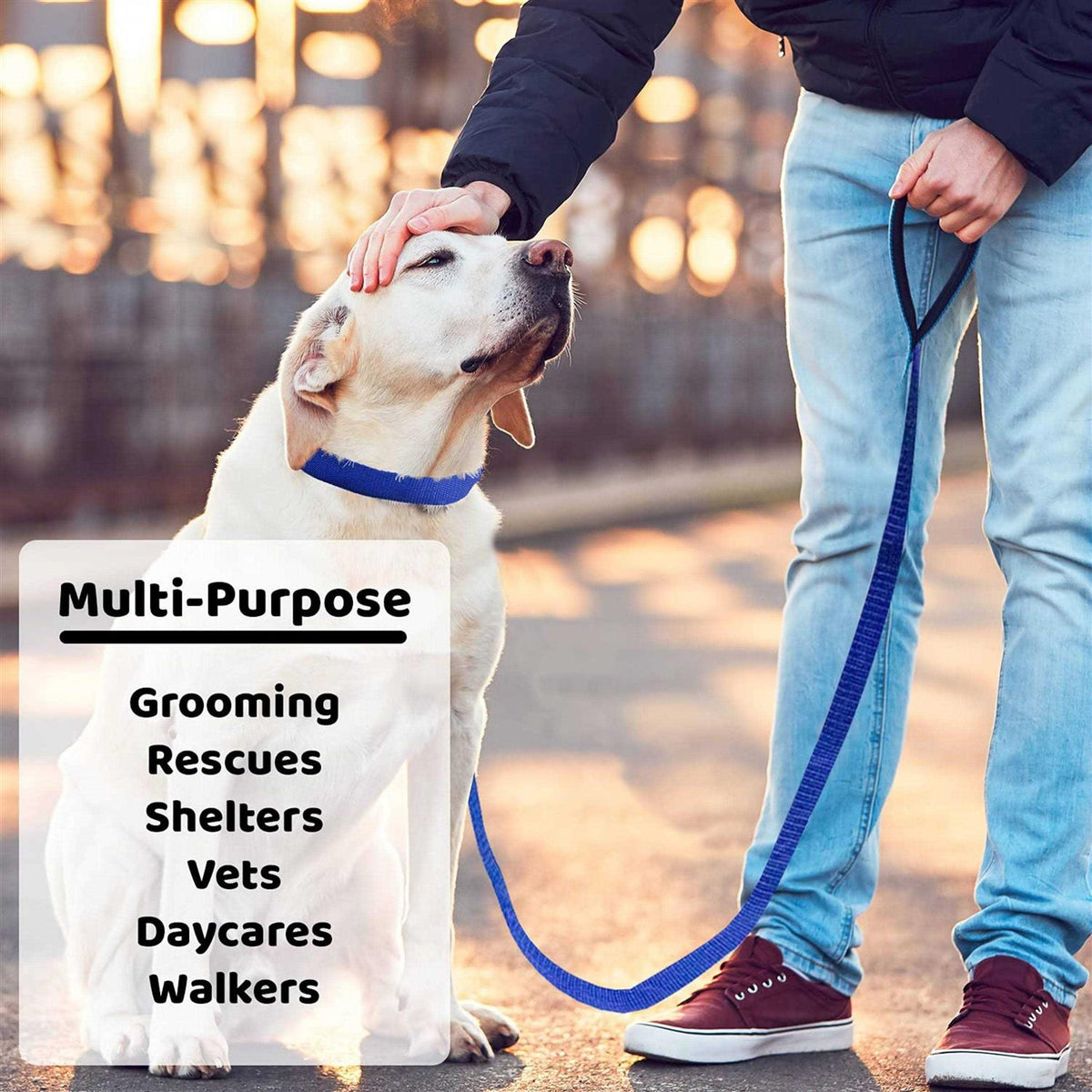 Dog Slip Lead Dog Leash U40395