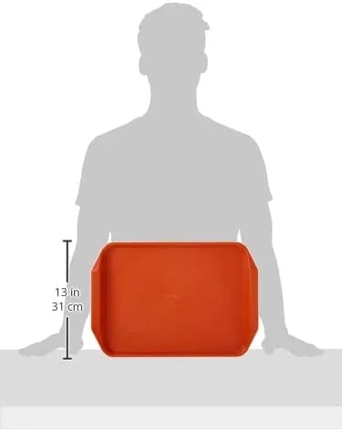 BBQ Tray G4611