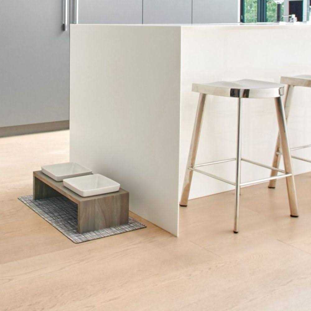 Double Dog Feeder X624944