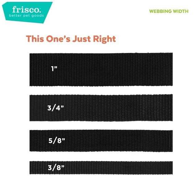 Dog Leash I3584
