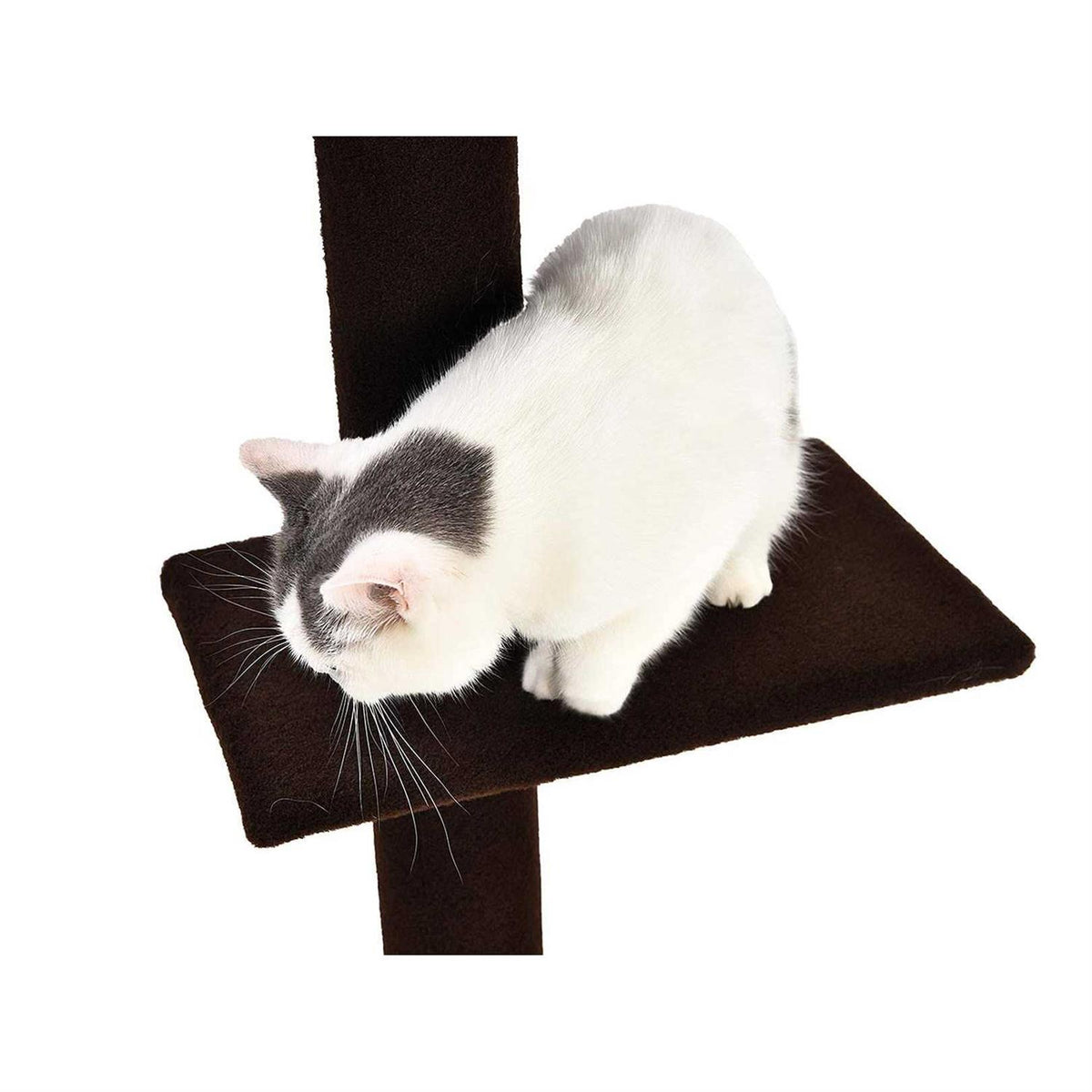3-Tier Floor-to-Ceiling Cat Tree Y776650
